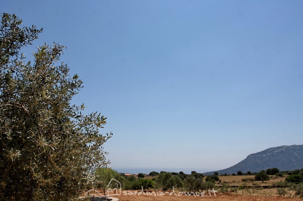 Casa Vacanza Sardegna - Casa Matteotto C - Campagna