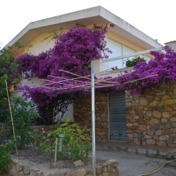 Casa-Vacanza-Sardegna-Casa-Oddoene-31