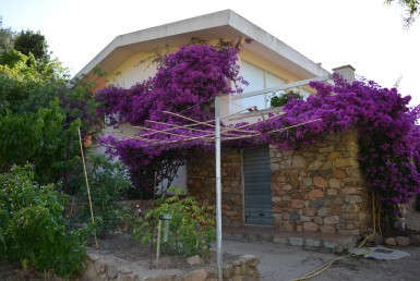 Casa-Vacanza-Sardegna-Casa-Oddoene-31